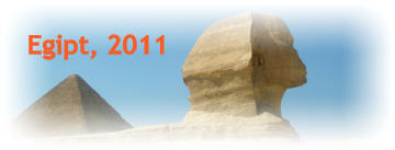 Egipt, 2011